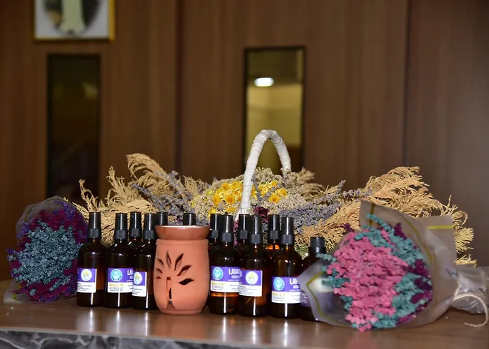 Bubyo Uygulama 酒店 Ören