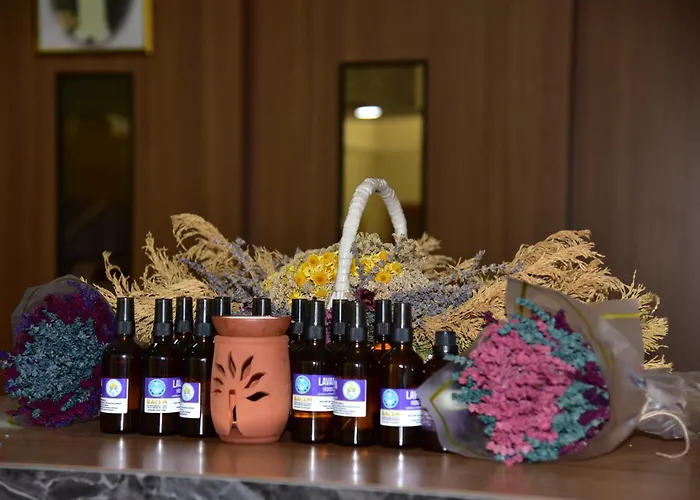 ホテル Bubyo Uygulama *